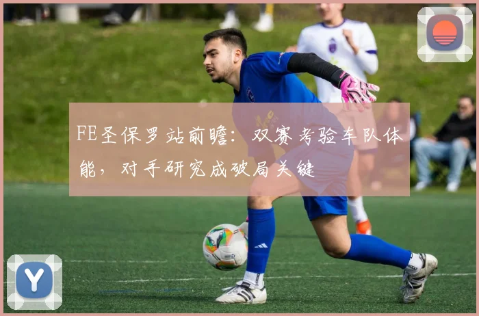 FE圣保罗站前瞻：双赛考验车队体能，对手研究成破局关键