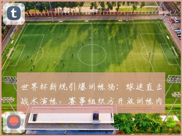 世界杯新规引爆训练场：球迷直击战术演练，赛事组织方开放训练内容成最大看点