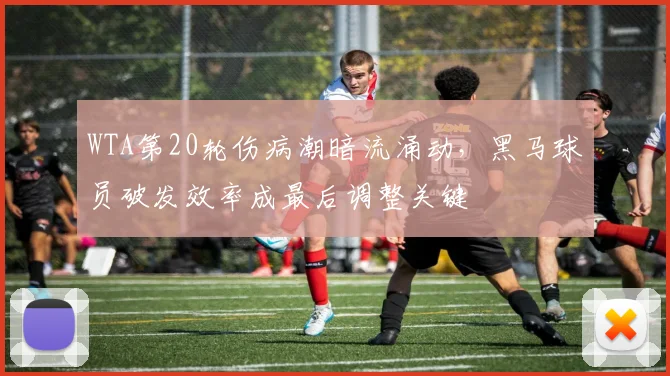 WTA第20轮伤病潮暗流涌动，黑马球员破发效率成最后调整关键